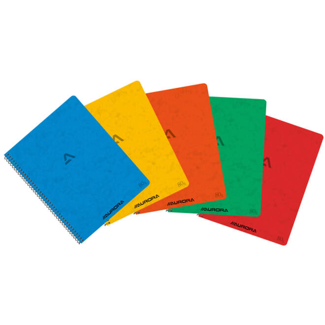 Schrift Aurora 210x165mm ruit 5x5mm 120 pagina's 80gr assorti