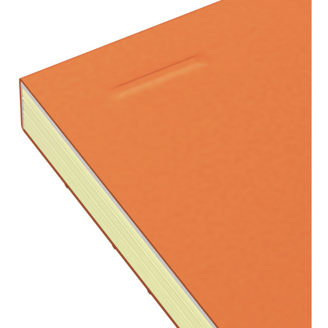 Cursusblok Oxford Orange Notepad A4+ lijn 4-gaats 160 pagina's 80gr oranje