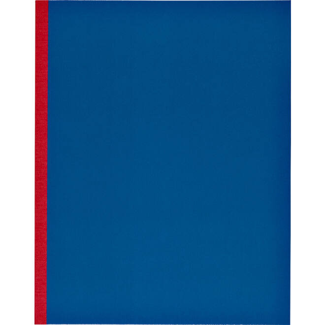 Kasboek 165x210mm 160blz 1 kolom rode rug assorti