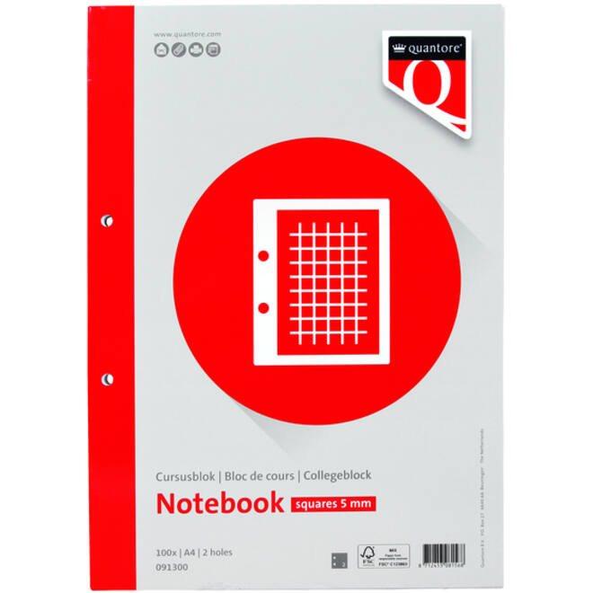 Cursusblok Quantore A4 ruit 5mm 100vel 80gram met kantlijn+
