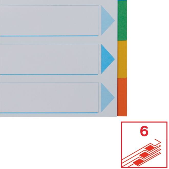 Tabbladen Esselte Standaard A4 6-delig karton 11-rings met voorblad assorti