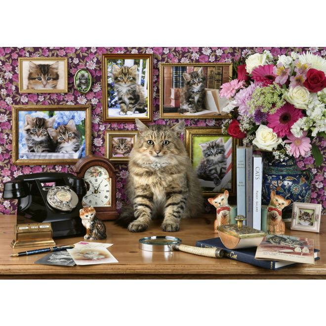 Puzzel Ravensburger Mijn katjes 1000 stukjes