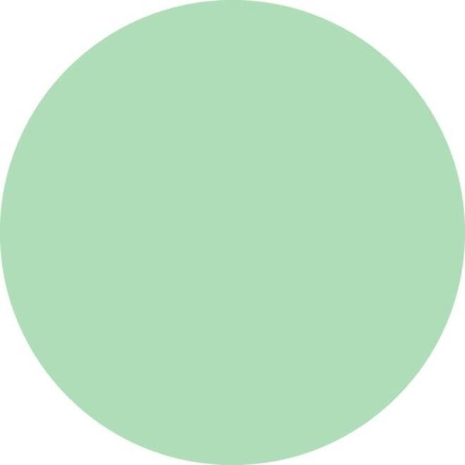 Markeerstift STABILO GREEN BOSS 6070/116 vleugje pastel mint