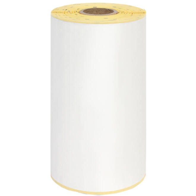 Zebra labeletiket IEZZY 3005281-T 102x150mm 19mm wit permanent