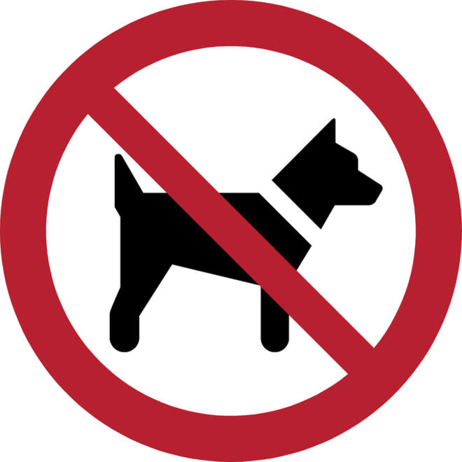 Pictogram bordje Djois Honden niet toegestaan Ø 200 mm Rood