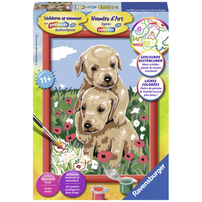 Schilderen op nummer Ravensburger Knuffelende puppies