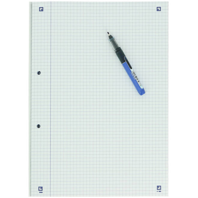 Cursusblok Oxford School A4 ruit 5x5mm 2-gaats 200 pagina's 80gr assorti