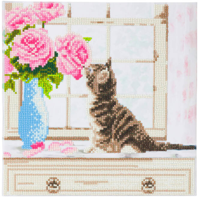 Diamondpainting Crystal Art Kit Kat 30x30cm