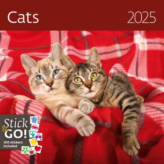 Kalender 2027 Helma 365 30x30cm katten