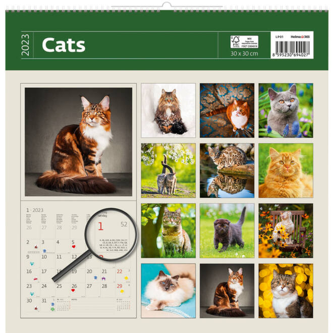 Kalender 2027 Helma 365 30x30cm katten