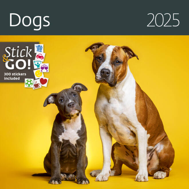 Kalender 2027 Helma 365 30x30cm honden