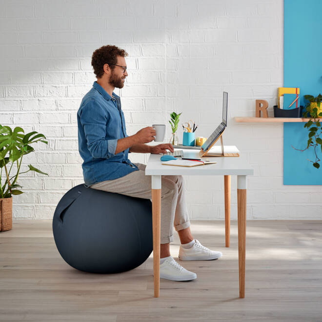 Actieve zitbal Leitz Ergo Cosy grijs