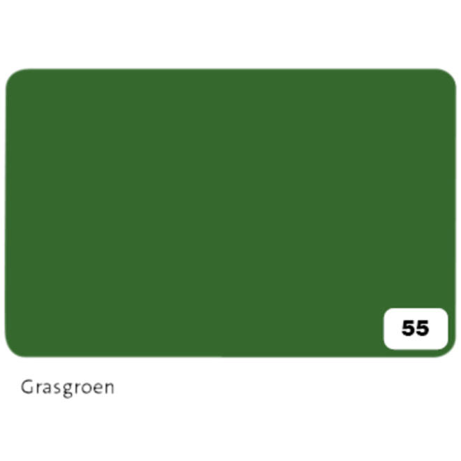 Fotokarton Folia 2-zijdig 50x70cm 300gr nr55 grasgroen