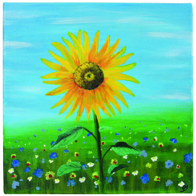 Schildersdoek Qrea Studio 60x80cm