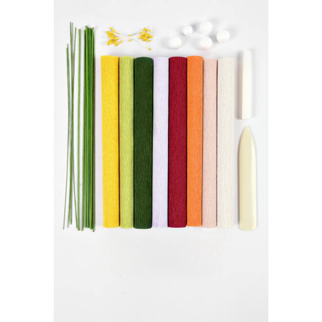 Crêpepapier Creativ Company DIY starterset bloemen
