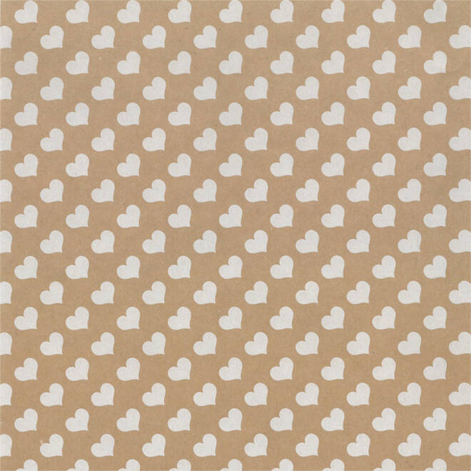 Inpakpapier Special Wrap 200mx70cm kraft assorti