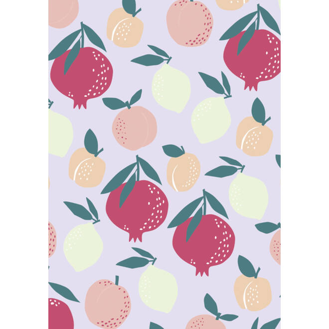 Inpakpapier Stewo Fresh Patterns 200x70cm assorti