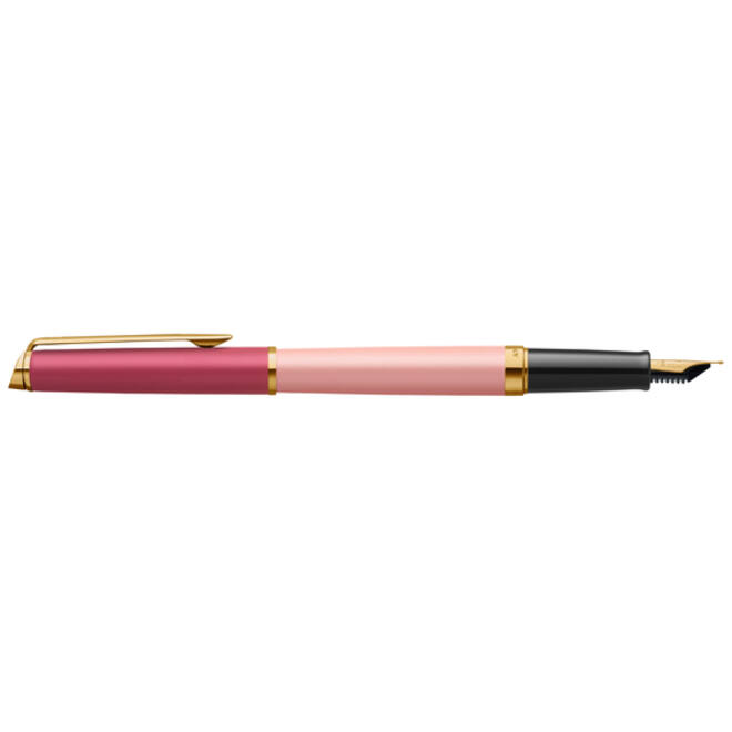 Vulpen Waterman Hémisphère Colour Blocking pink GT medium