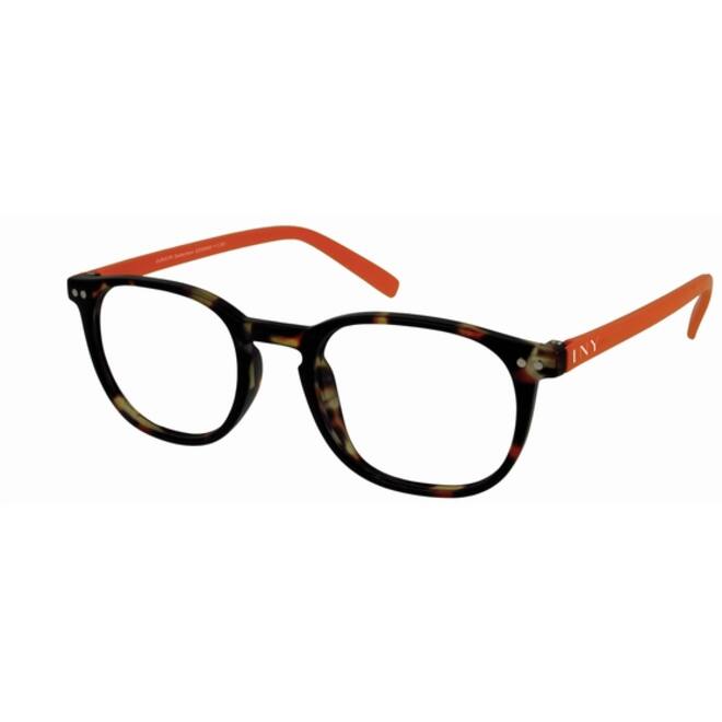 Leesbril I Need You +2.50 dpt Junior Selection bruin-oranje