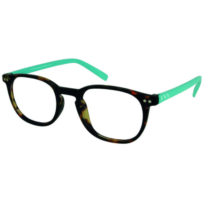 Leesbril I Need You +1.00 dpt Junior Selection bruin-turquoise
