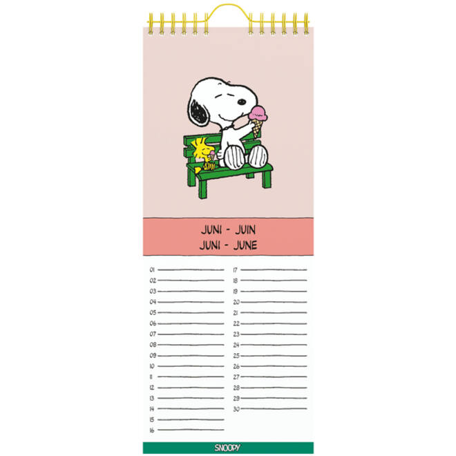 Verjaardagskalender Lannoo Peanuts 130x325