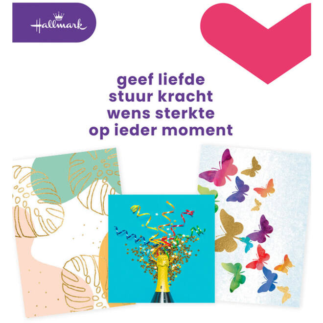 Wenskaart Hallmark navulset blanco 8 kaarten