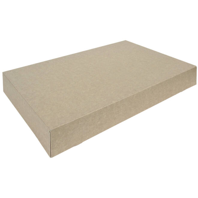 Cateringdoos IEZZY 55cm plasticvrij bruin 10 stuks