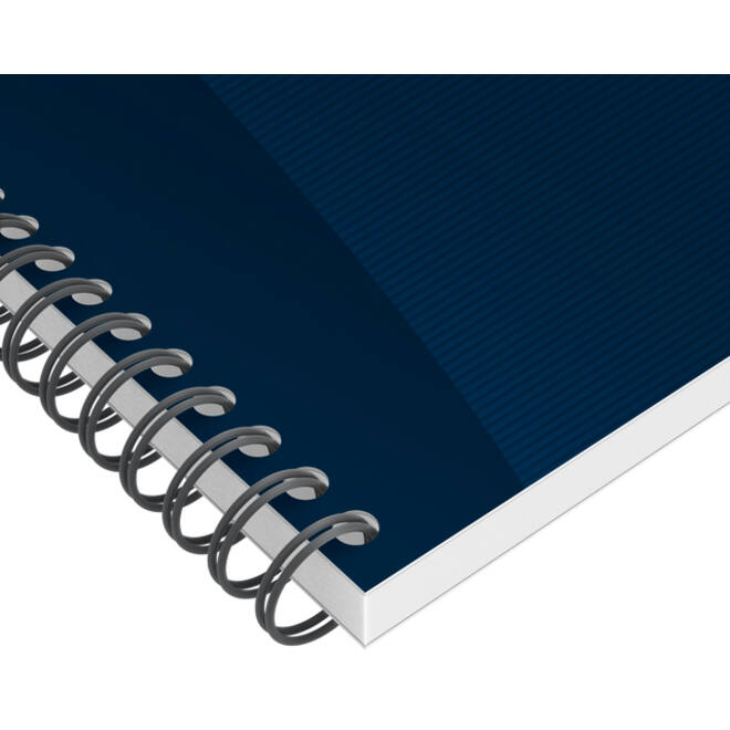 Task Manager Oxford 141x246 mm 115vel blauw