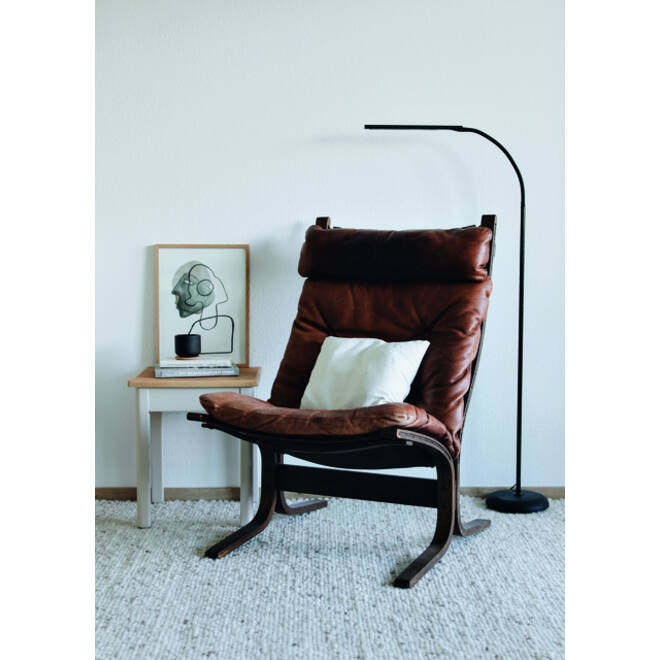 Vloerlamp MAUL Pirro LED dimbaar zwart