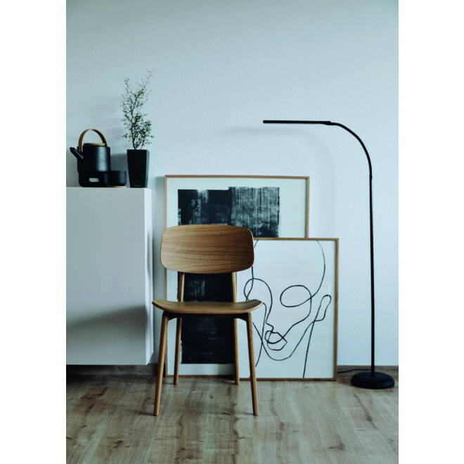 Vloerlamp MAUL Pirro LED dimbaar zwart