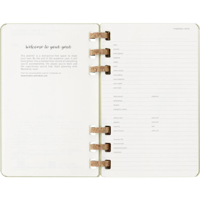 Agenda 2024/2025 Moleskine 12M Academic planner 7dagen/2pagina's large hc crush kiwi