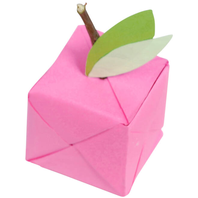 Origami Clairefontaine Neon 20x20cm set à 100 vel 70gram assorti