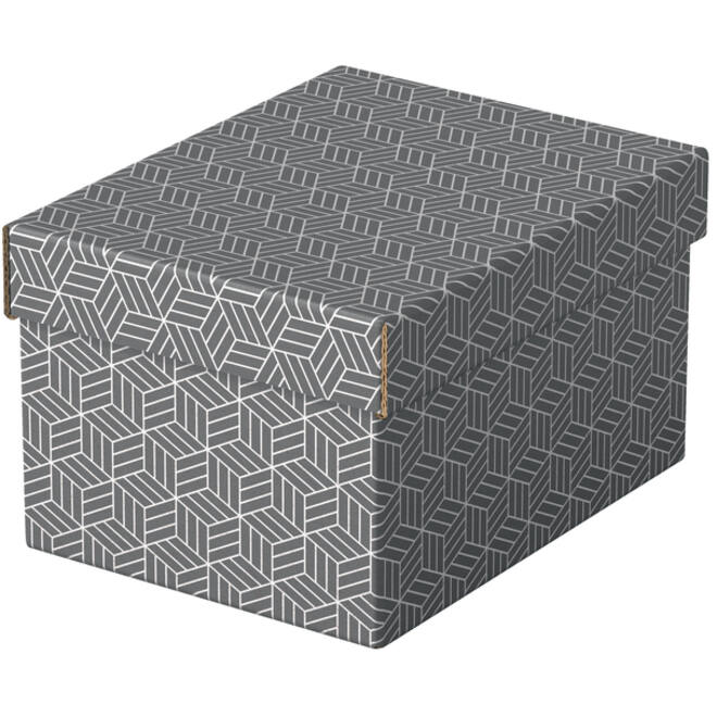 Opberg- en geschenkdoos Esselte home klein 200x150x255mm gr 3 st