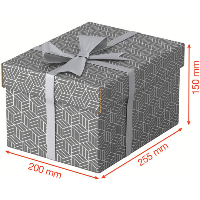 Opberg- en geschenkdoos Esselte home klein 200x150x255mm gr 3 st