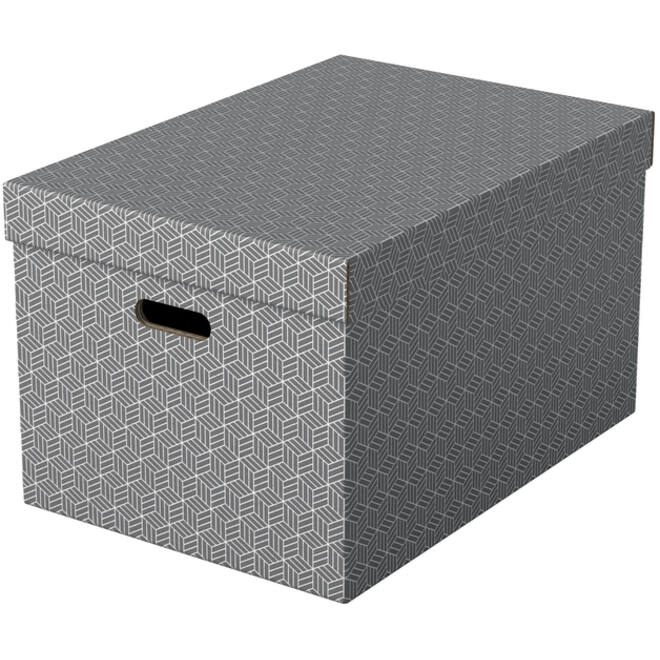 Opbergdoos Esselte home groot 355x305x510mm grijs 3 stuks