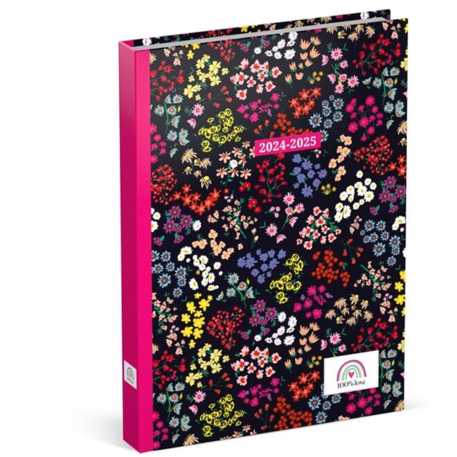 Schoolagenda 2024-2025 Lannoo 100% Love 1dag/1pagina