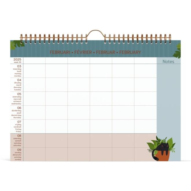 Familiekalender 2025 Lannoo 310x220 Cats 7dagen/1pagina