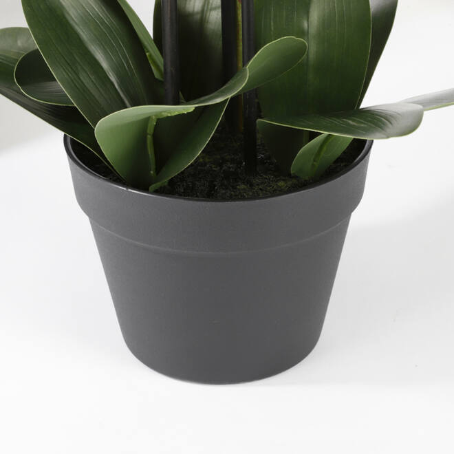 Kunstplant Mica Phalaenopsis orchideeën wit in plastic pot 79x51cm