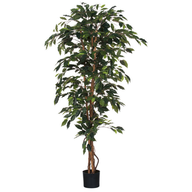 Kunstplant Mica Ficus in plastic pot 180x100cm
