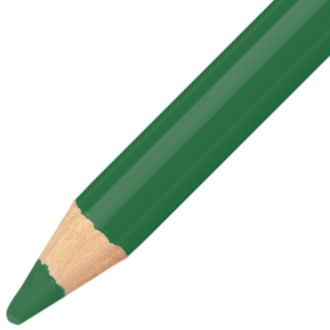 Kleurpotloden STABILO CarbOthello kalkpastel viridiangroen