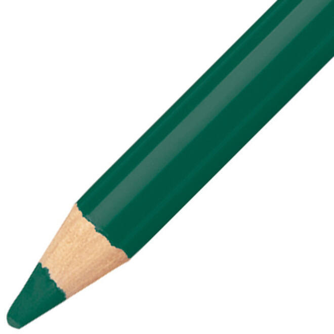 Kleurpotloden STABILO CarbOthello kalkpastel donkerloofgroen