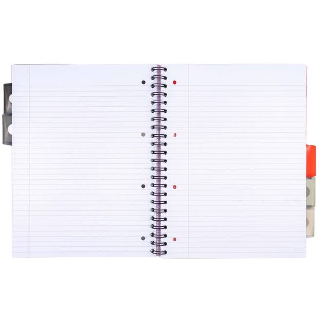 Projectboek Pukka Metallic Executive A4 lijn 5-tabs 4-gaats 200 pagina's 80gr assorti