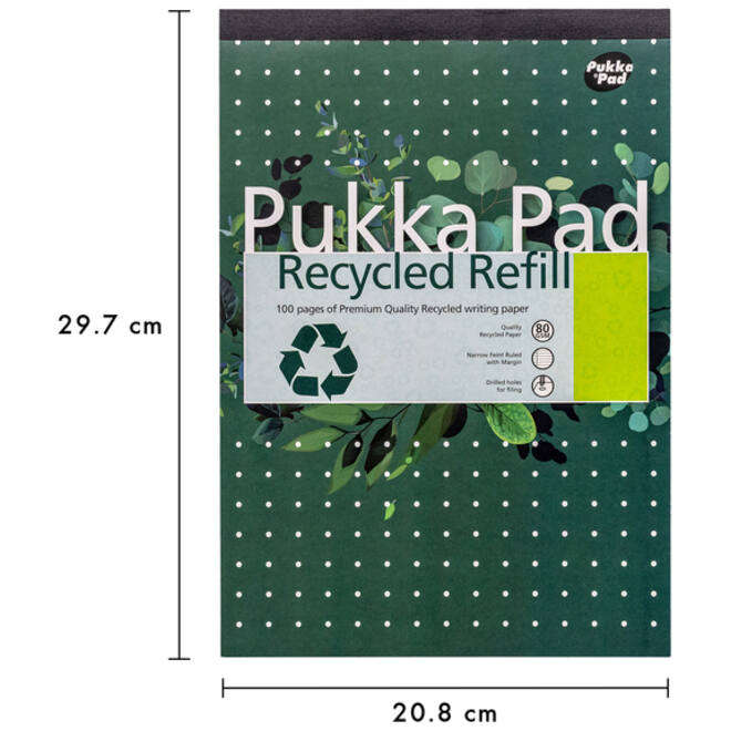 Schrijfblok Pukka Recycled A4 lijn 4-gaats 100 vel 80gr