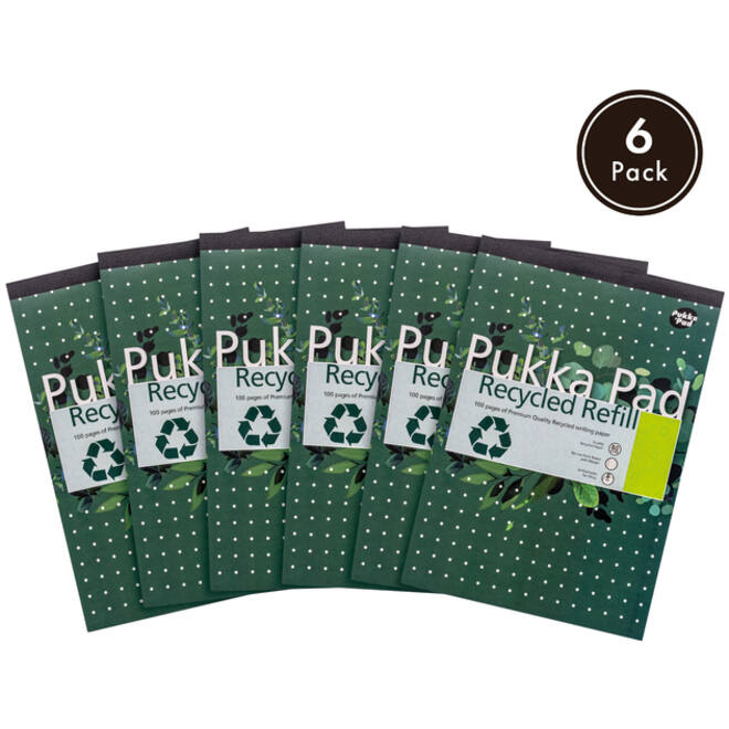 Schrijfblok Pukka Recycled A4 lijn 4-gaats 100 vel 80gr