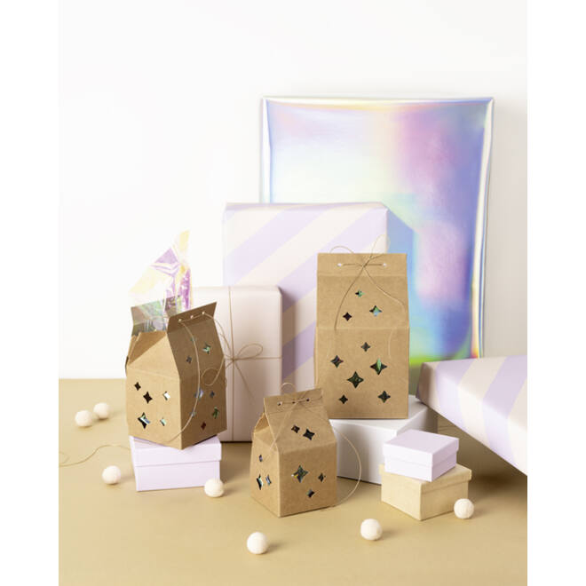 Giftbox Folia Star kraft set à 6 stuks