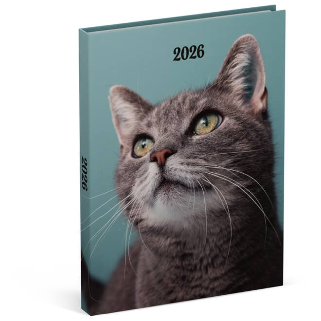 Agenda 2026 Lannoo 110x150 My favourite friends 7dagen/2pagina's cats