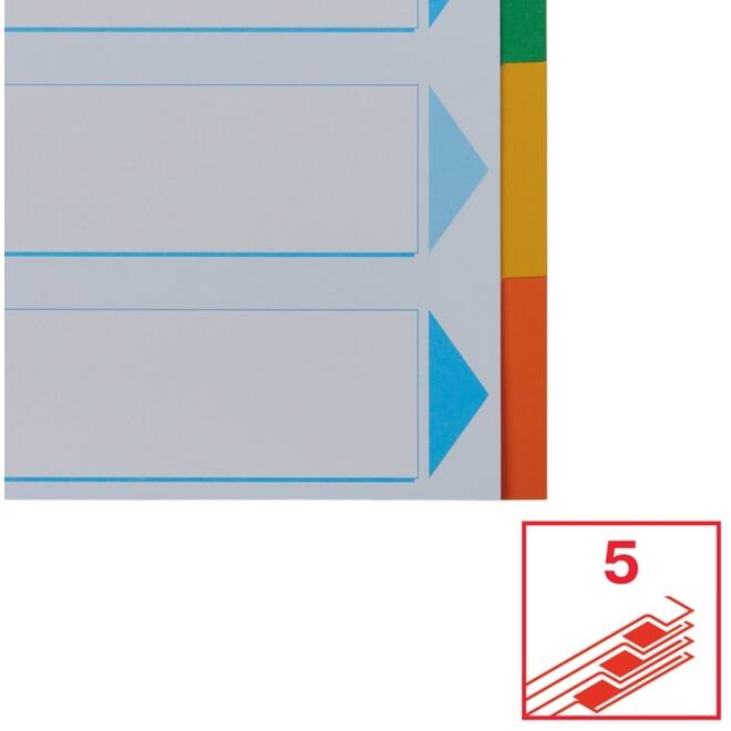 Tabbladen Esselte Standaard A4 5-delig karton 11-rings met voorblad assorti