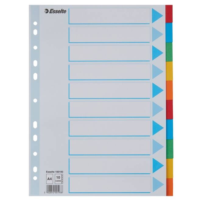 Tabbladen Esselte Standaard A4 10-delig karton 11-rings met voorblad assorti