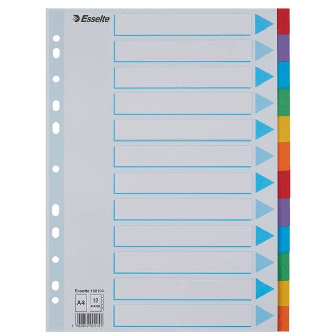 Tabbladen Esselte Standaard A4 12-delig karton 11-rings met voorblad assorti