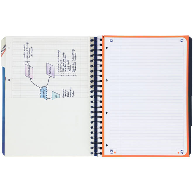 Projectboek Oxford School A4+ lijn 4-gaats 240 pagina's 80gr blauw
